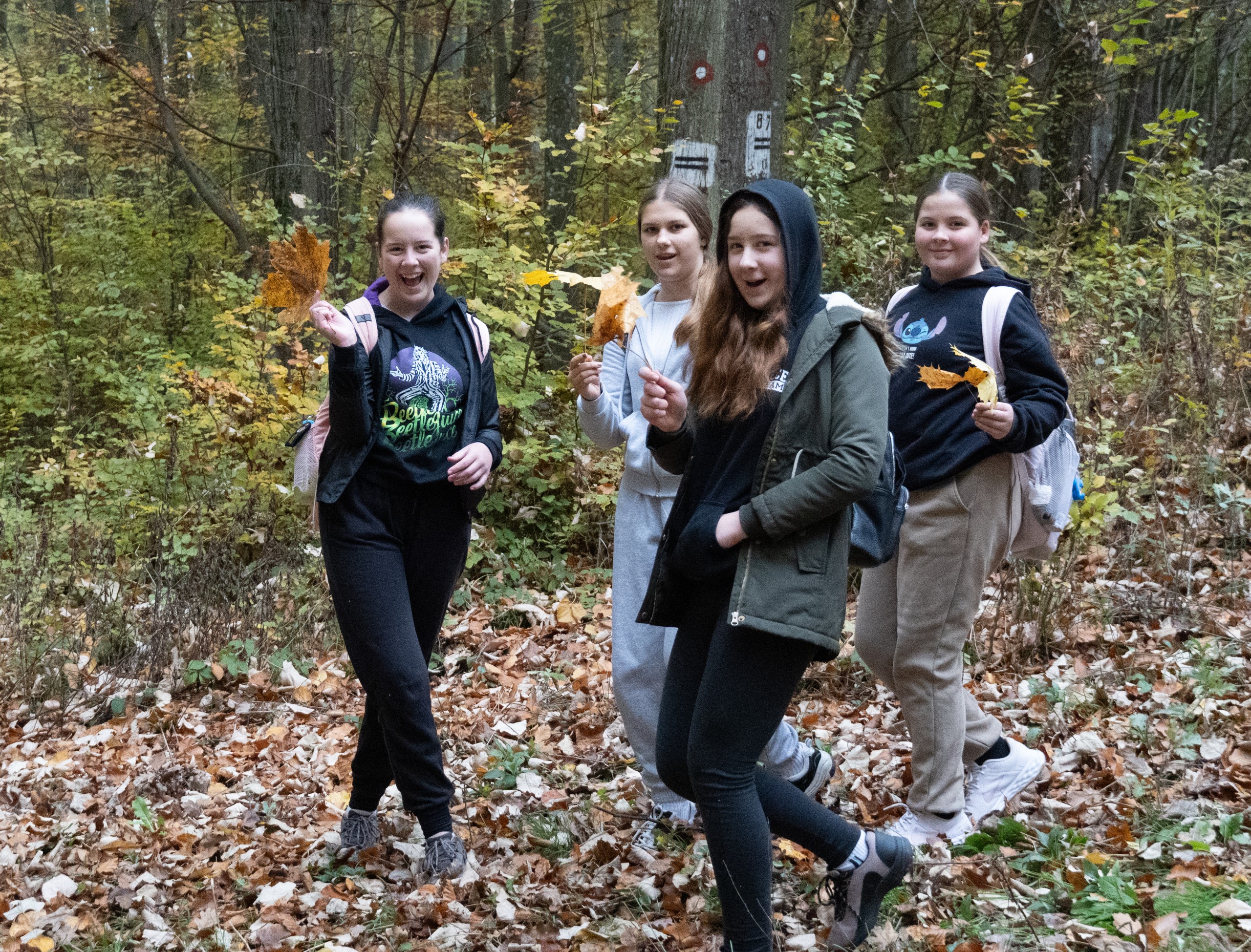 Sekcija za djecu i mladež