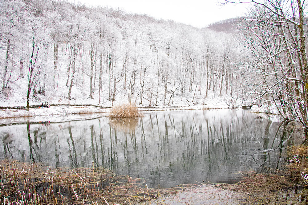 Izlet u nepoznati Papuk