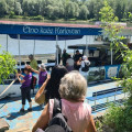 Izlet Vodom i kopnom europska Amazona, Drava